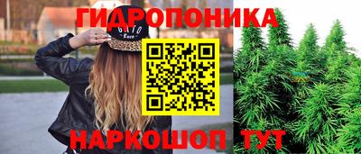 spice Донецк
