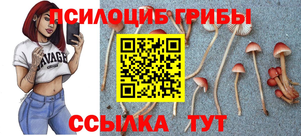 Надым  Галлюциногенные грибы ЛСД  Вход с VPN 